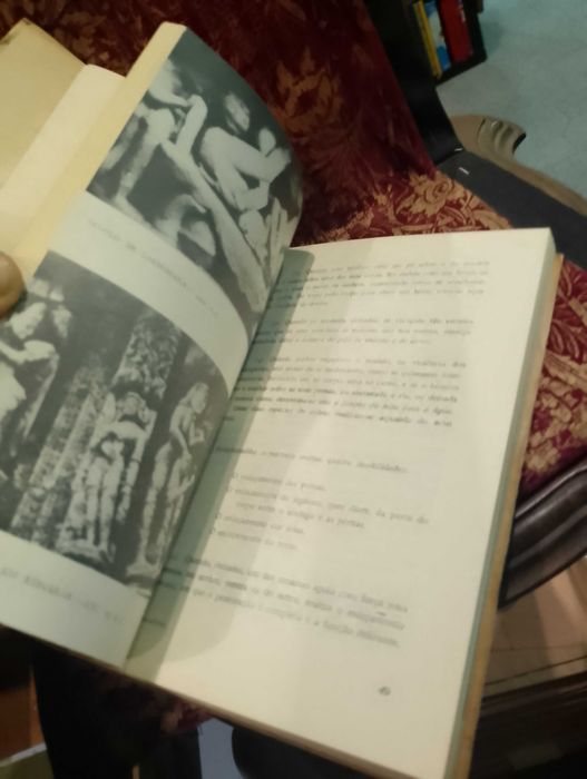 Kâma-Sûtra O Livro do Amor - Vatsyayana