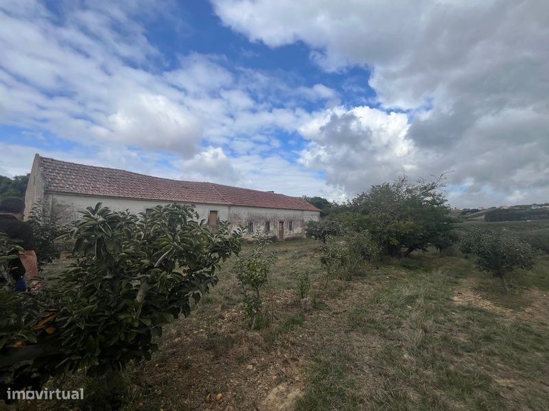 Quintinha com Moradia e Pomar em Carvalhal, Bombarral