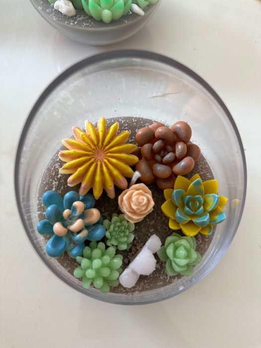 Terrario suculentas vela/cera