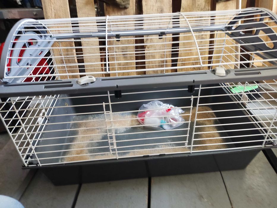 klatka dla gryzonia