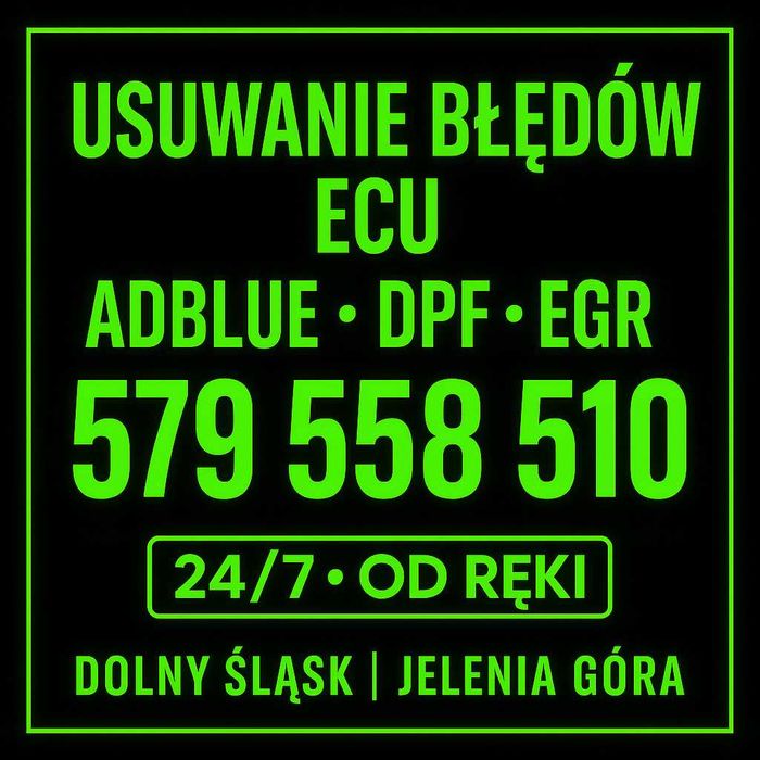 Usuwanie błędów ECU – ADBLUE • DPF • EGR – Dolny Śląsk