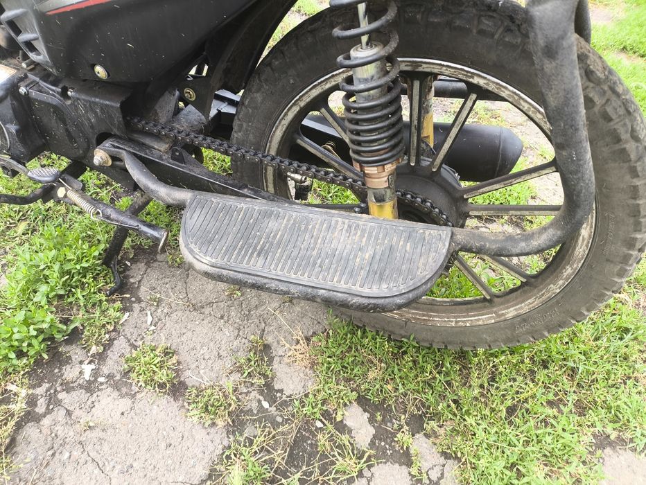 Alpha 125 lx champ