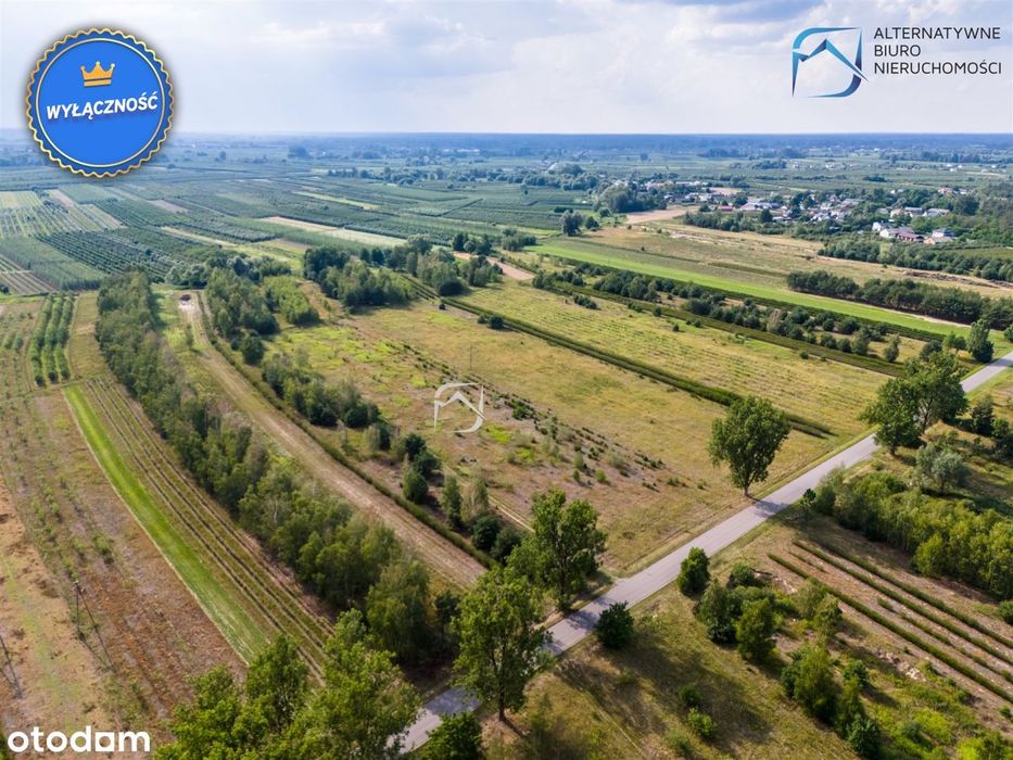 Ustawny grunt rolny - Niedźwiada Duża gm Łaziska - Widok 2