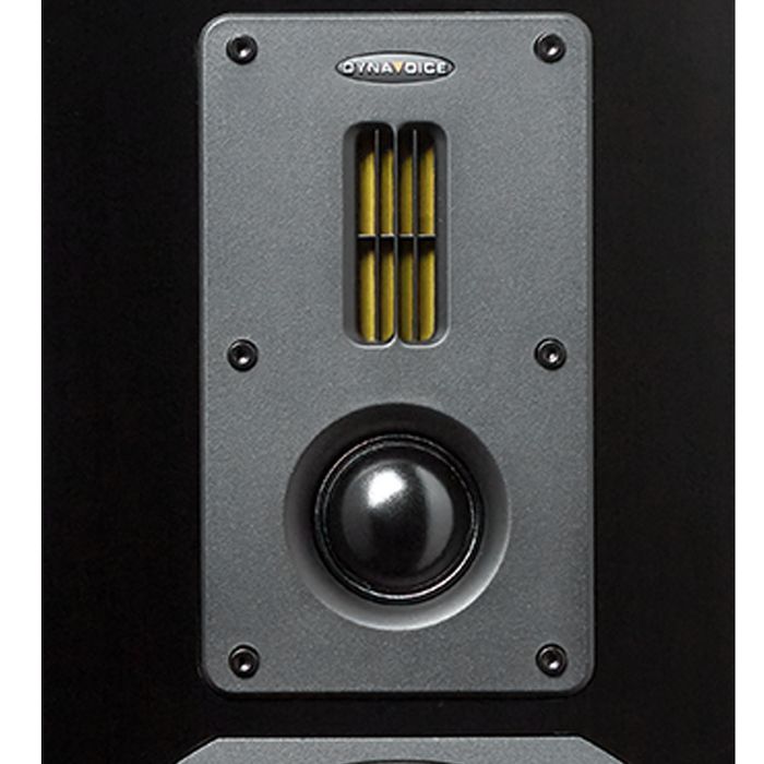 Dynavoice Definition DM-6 II Oak