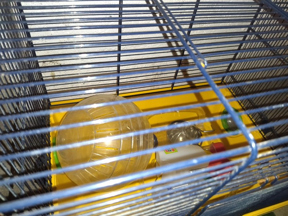 Gaiola para roedores