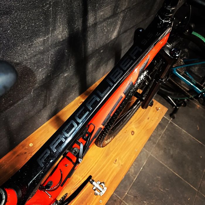 Bicicleta Trek Procaliper