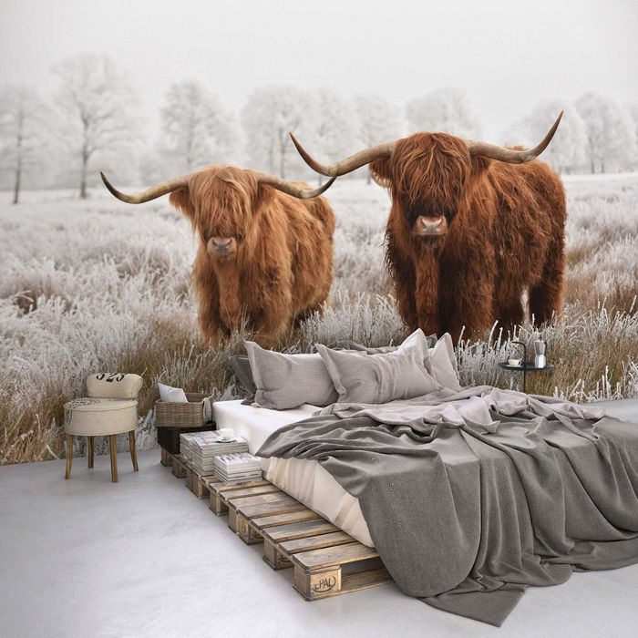 Fototapeta Krowy Natura Pole 3D Na Twój Własny Rozmiar + KLEJ