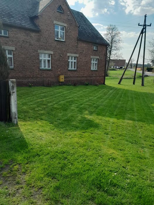 Dom,działka oraz budynki gospodarcze Wymiarki woj. Lubuskie