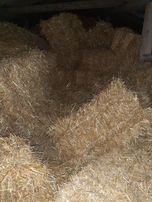 Тюки пшеничної та вівсяної соломи