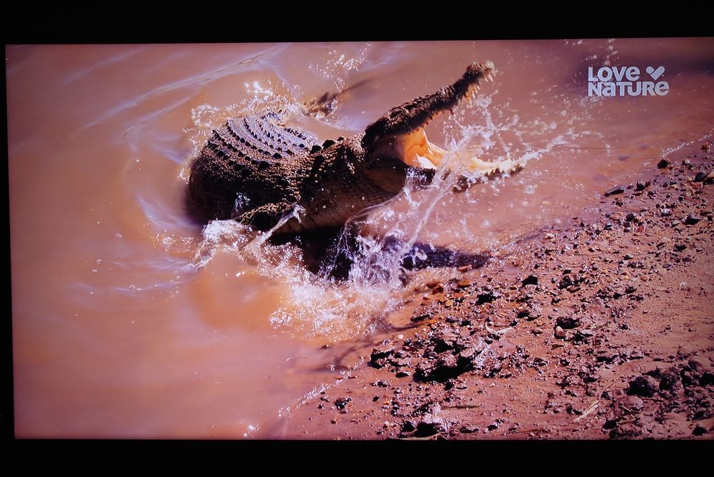 Samsung 55 cali Smart TV  4K UHD (3840 x 2160).