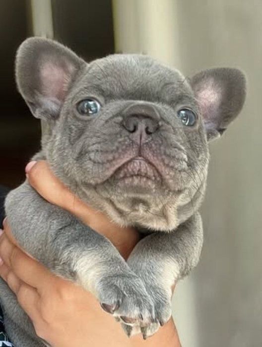 Блакитна дівчинка !