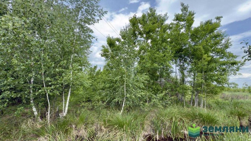 Продається земельна ділянка с.Братківці (7)