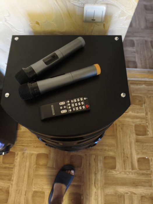 Парні колонки 2в1 акумулятор і мережа Pro Audio 1210