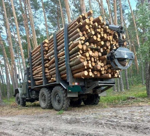Дрова Оптом та в роздріб. Напряму, доставка, гарна ціна, 3-7-10-45 м3