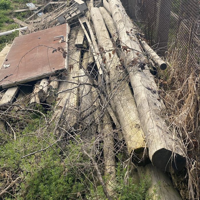 Дрова , обрізки дошок , сосна віддам безкоштовно