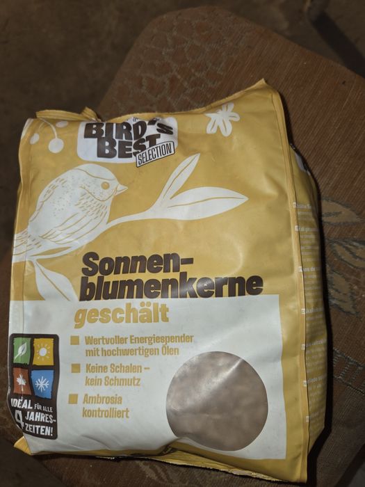 Slonecznik luskany dla ptakow