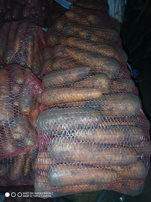 Картопля по Місту Суми