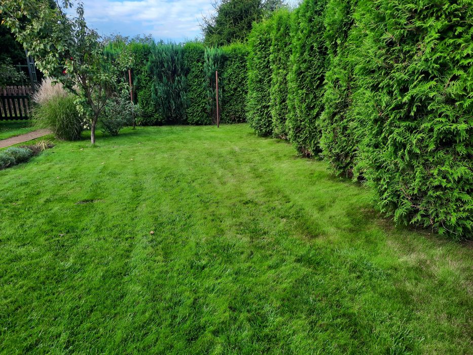 Działka rekreacyjna ROD Leśnik 503m2 w Toruniu Sprzedam
