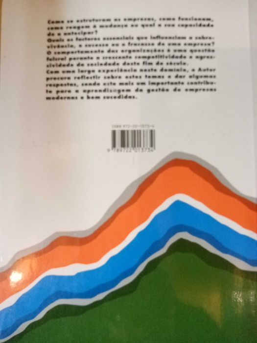 Organização e Desenvolvimento de Empresas