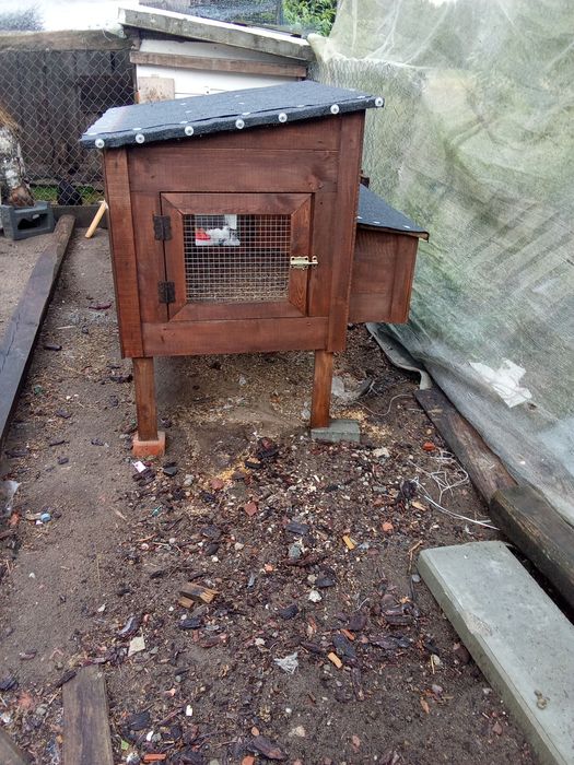 Kurniki , gołębniki i klatki dla królików