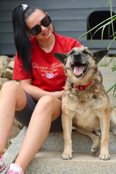 Do adopcji samiec ok 9lat