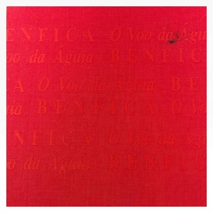 Benfica – O Voo da Águia | Álbum 88/89 | Manuel Dias e Carlos Pinhão | Edições ASA