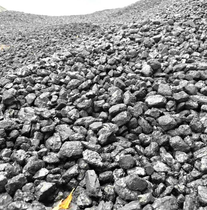 Брикети Вугілля Пелети — вигідно при великих обсягах