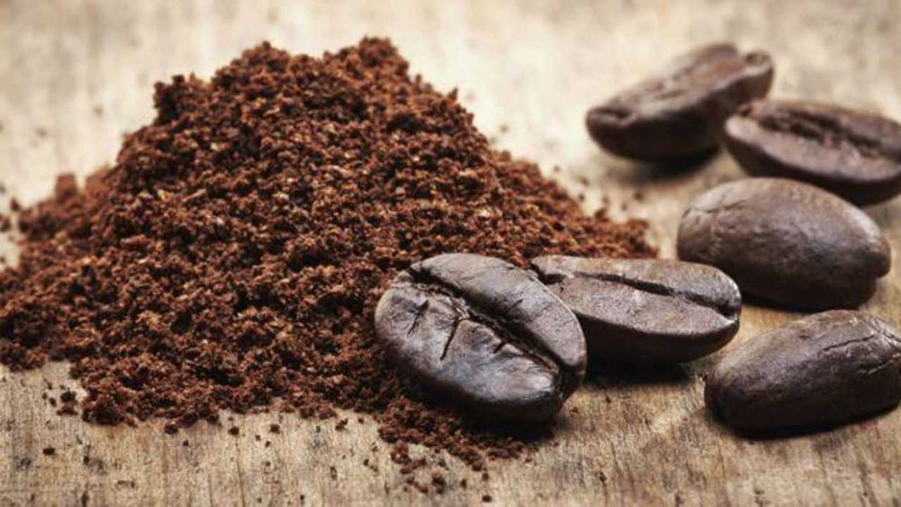 Borras de café Buondi Gold