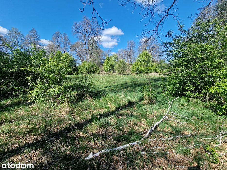 Działka rolna 4600 m² (okolica letniskowa) Sekłak blisko rzeki Liwiec