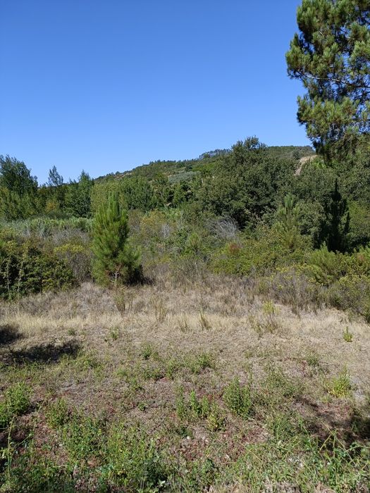 Terreno agrícola com 7040m2