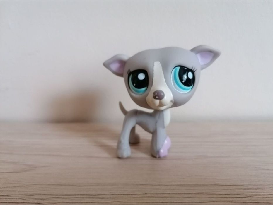 Littlest pet shop lps piesek chart