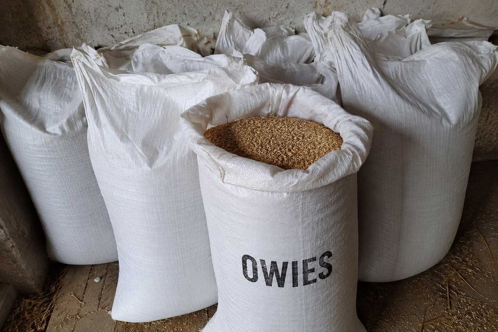 Owies do palenia workowany opał
