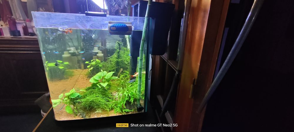 Aquário  completo 120l
