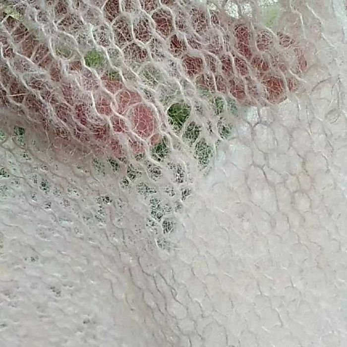 Повітряна павутинка