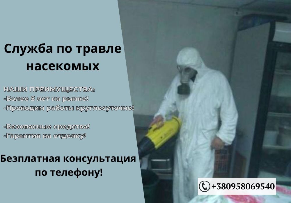 Профессиональное уничтожение насекомых и грызунов