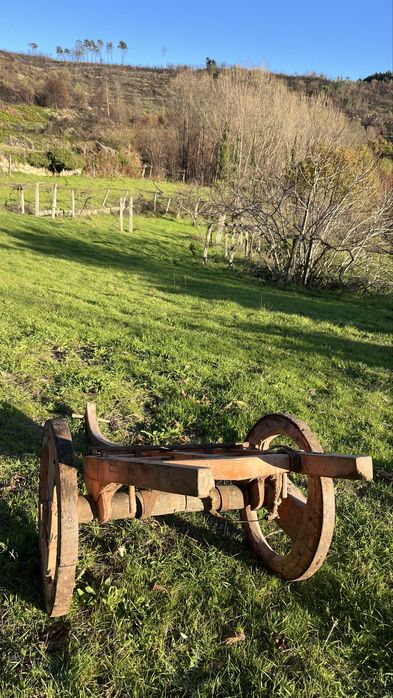 Carro de bói, reliquia antiga