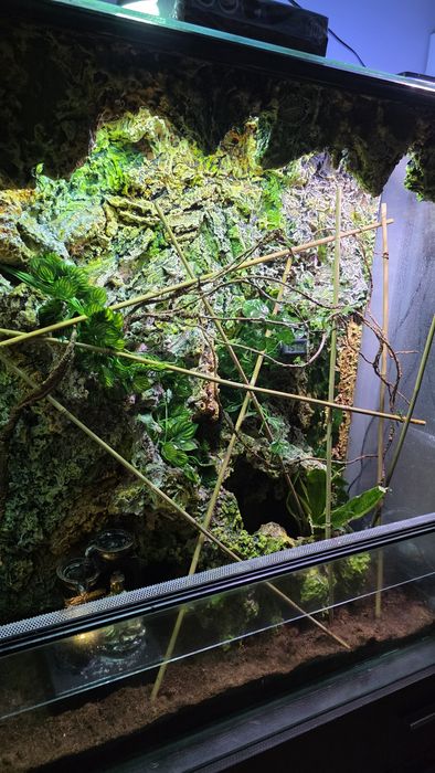 Terrarium dla gekona kameleona jaszczurki agamy terra wodospad