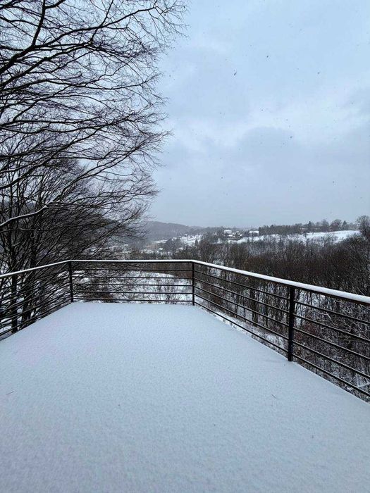 Оренда Будинку у КМ Схили с. Бірки