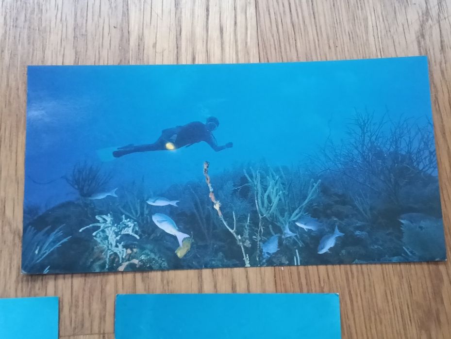 Bela coleção, imagens Sub- aquáticas+ 1 diverso
