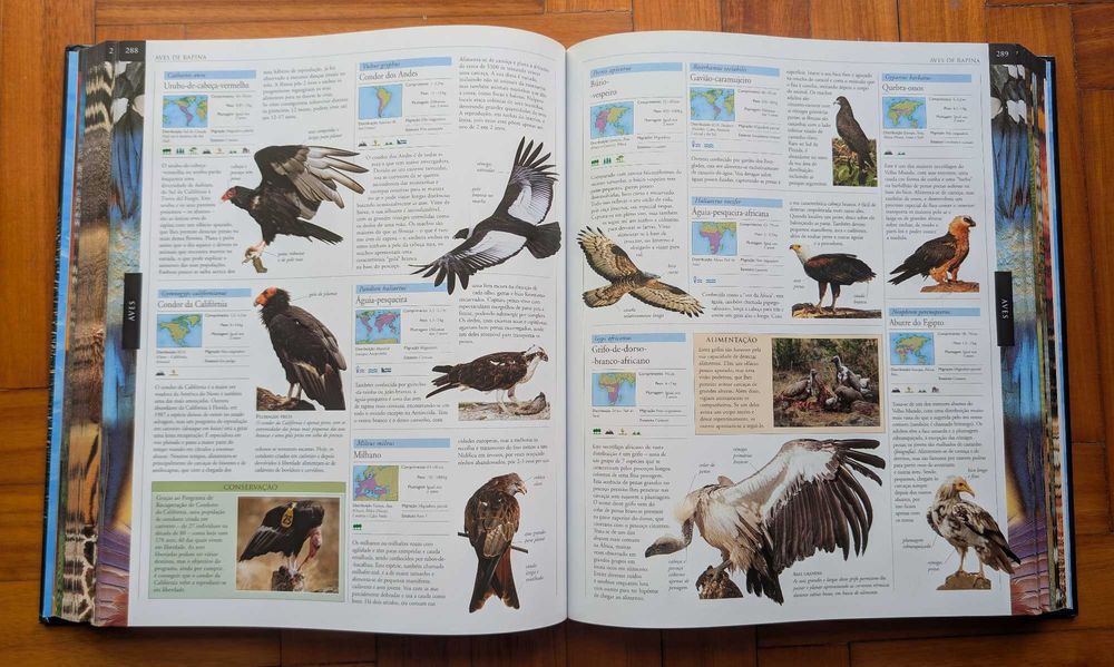 Grande Enciclopédia Animal – DK / Civilização (O Guia Visual Mais Completo)
