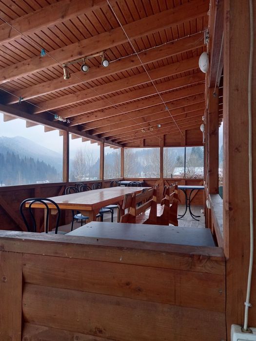 Продам котедж в Карпатах