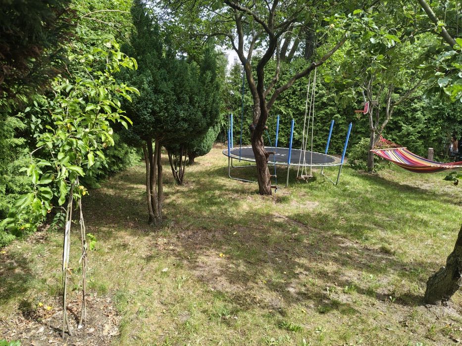 Działka rekreacja - Widok 5