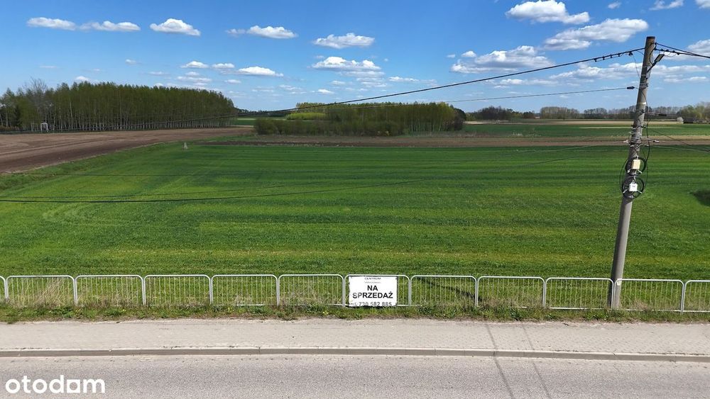Działka pod budowę 29ar, Trzciana gm. Czermin