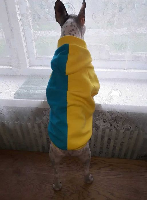 Одежда французский бульдог, мопс 300грив