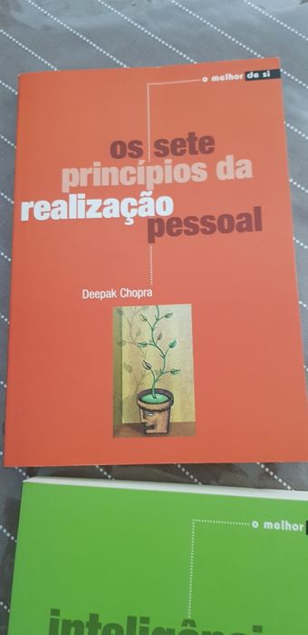 Livros de vários títulos motivacionais