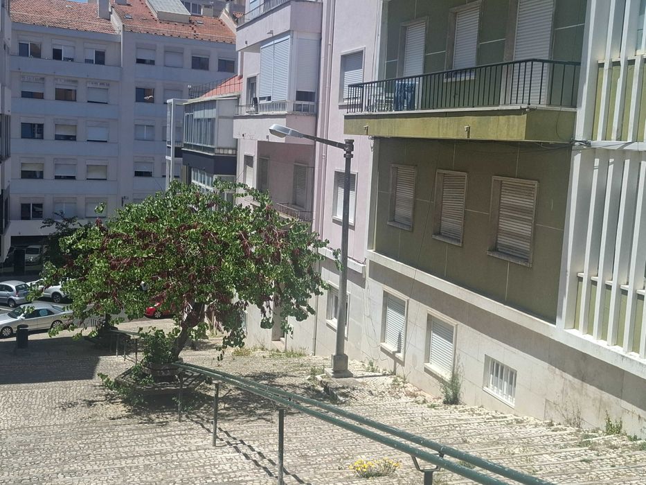 Moradia independente Entrecampos
