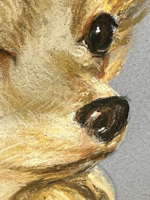 Obraz pastelowy chihuahua USA Sally Baker Keller