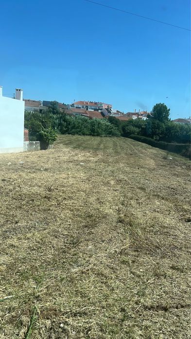 Limpeza de Terrenos || Abate de Árvores || Desmatação