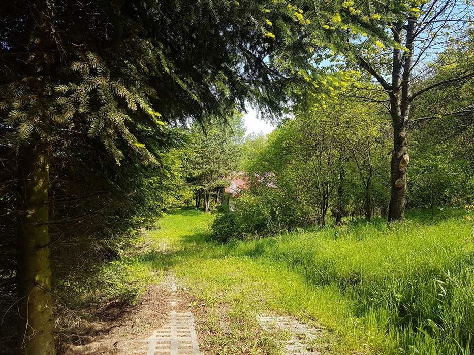 Tyczyn k. Rzeszowa - dom na wyjątkowej działce 5085 m² przy lesie