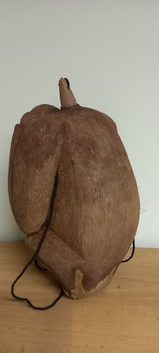 Garrafa feita de casca de coco